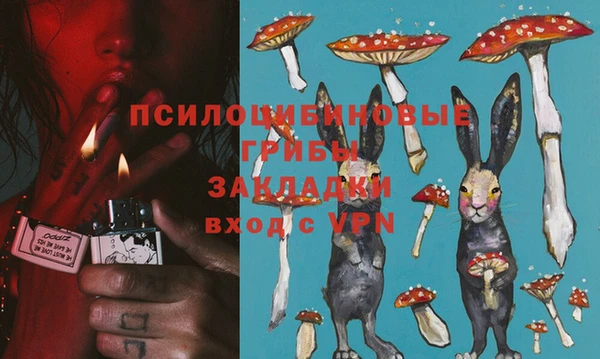 ПСИЛОЦИБИНОВЫЕ ГРИБЫ Аркадак