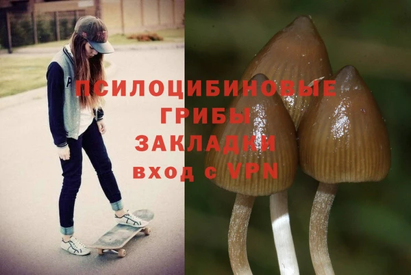 ПСИЛОЦИБИНОВЫЕ ГРИБЫ Аркадак